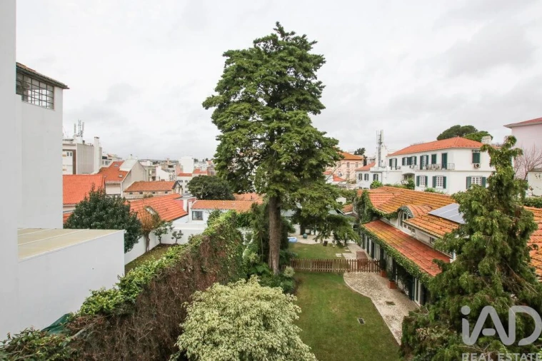 Apartamento T3 para Arrendamento em Estrela Foto 9