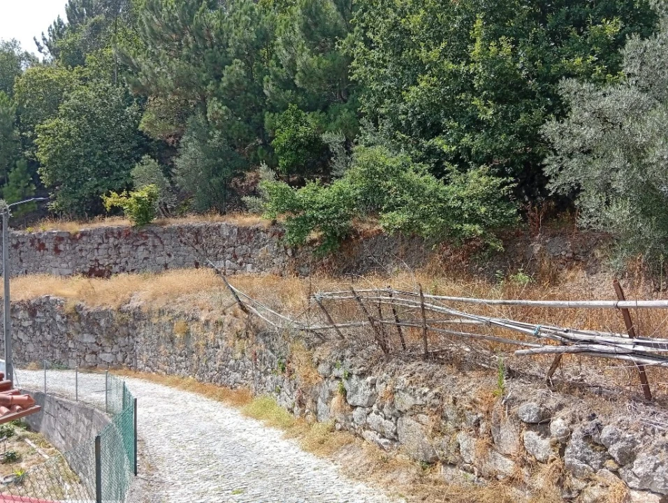 Terreno para Venda em Vilela, Seramil e Paredes Secas Foto 9