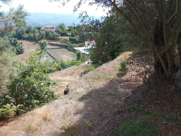 Terreno para Venda em Vilela, Seramil e Paredes Secas