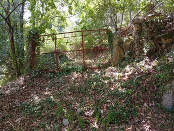 Terreno para Venda em Vilela, Seramil e Paredes Secas