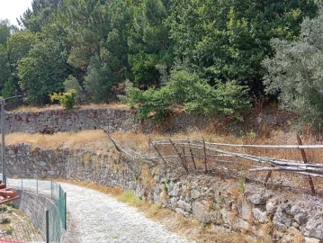 Terreno para Venda em Vilela, Seramil e Paredes Secas