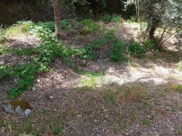 Terreno para Venda em Vilela, Seramil e Paredes Secas