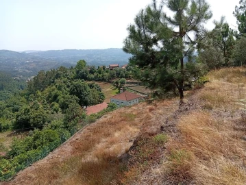Terreno para Venda em Vilela, Seramil e Paredes Secas