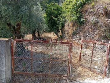 Terreno para Venda em Vilela, Seramil e Paredes Secas