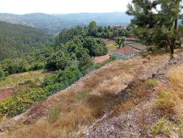 Terreno para Venda em Vilela, Seramil e Paredes Secas