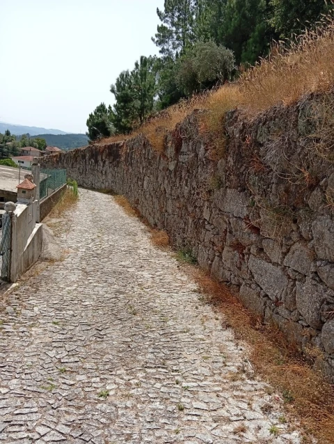 Terreno para Venda em Vilela, Seramil e Paredes Secas