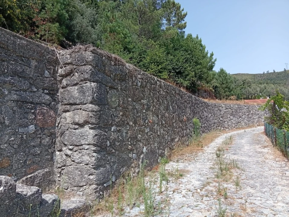 Terreno para Venda em Vilela, Seramil e Paredes Secas Foto 10