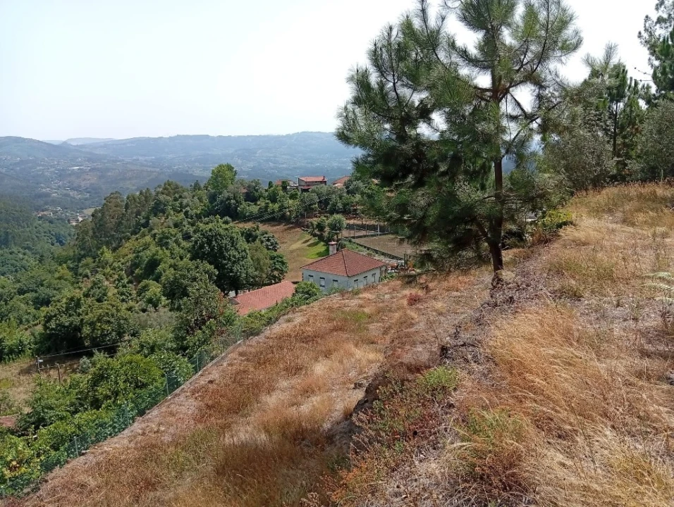 Terreno para Venda em Vilela, Seramil e Paredes Secas Foto 6