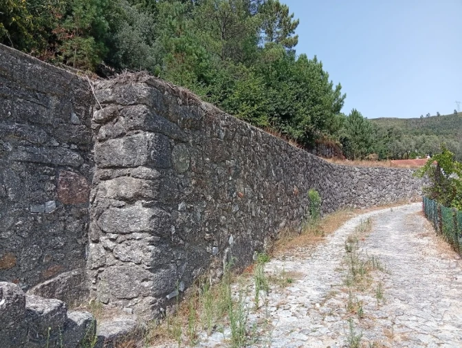 Terreno para Venda em Vilela, Seramil e Paredes Secas Foto 10