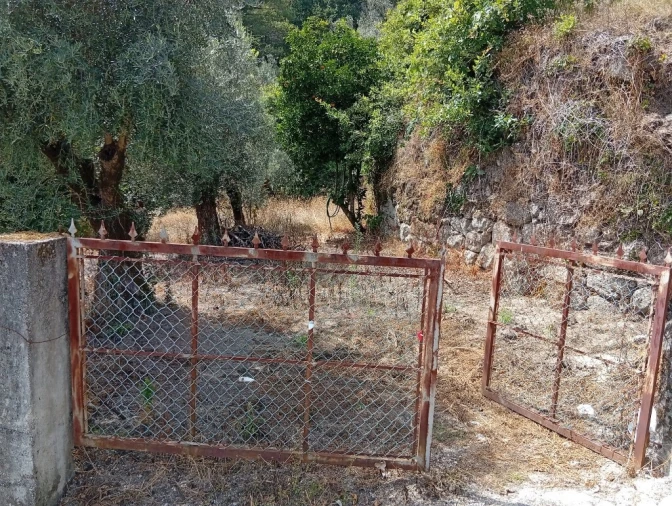 Terreno para Venda em Vilela, Seramil e Paredes Secas Foto 8