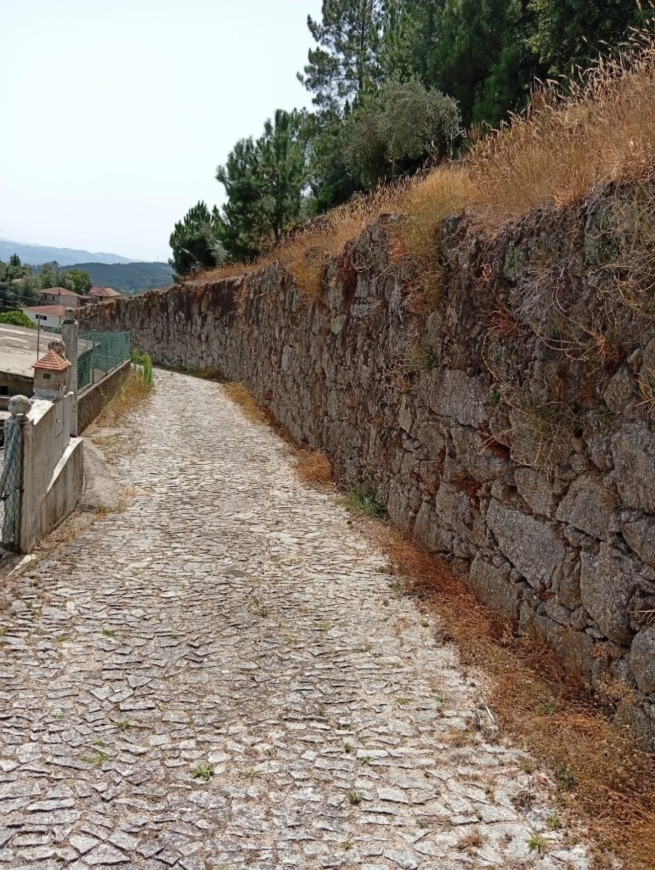 Terreno para Venda em Vilela, Seramil e Paredes Secas Foto 12