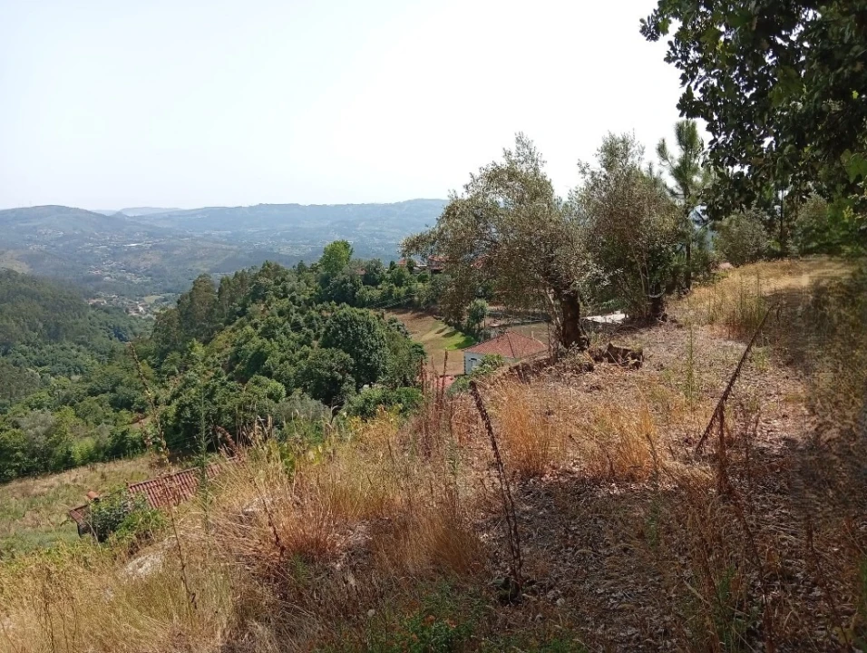Terreno para Venda em Vilela, Seramil e Paredes Secas Foto 14