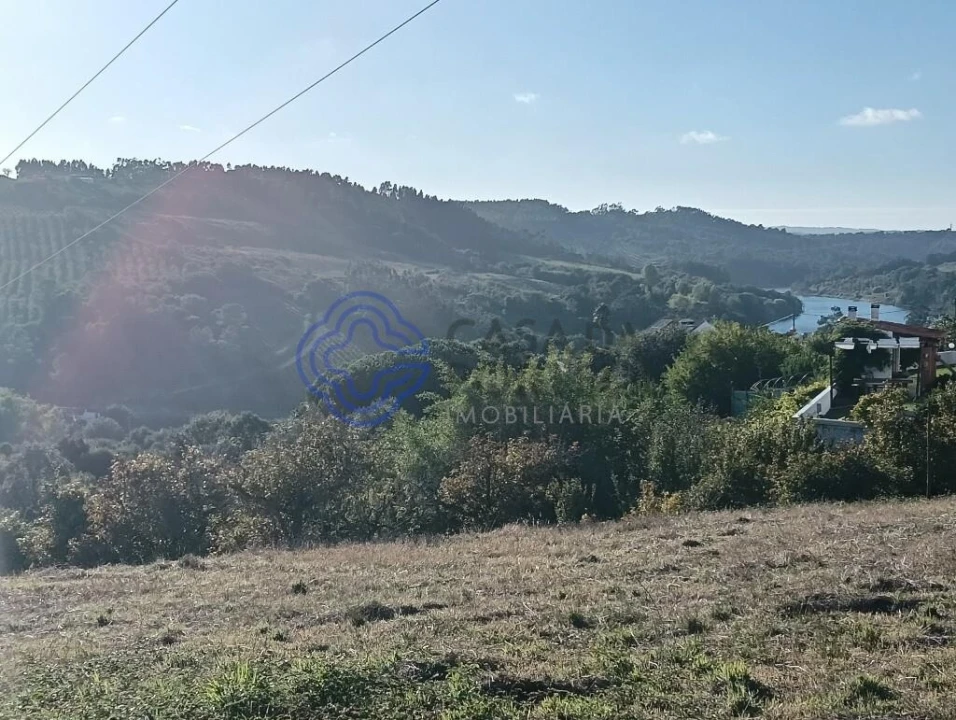 Terreno para Venda em A dos Negros Foto 1