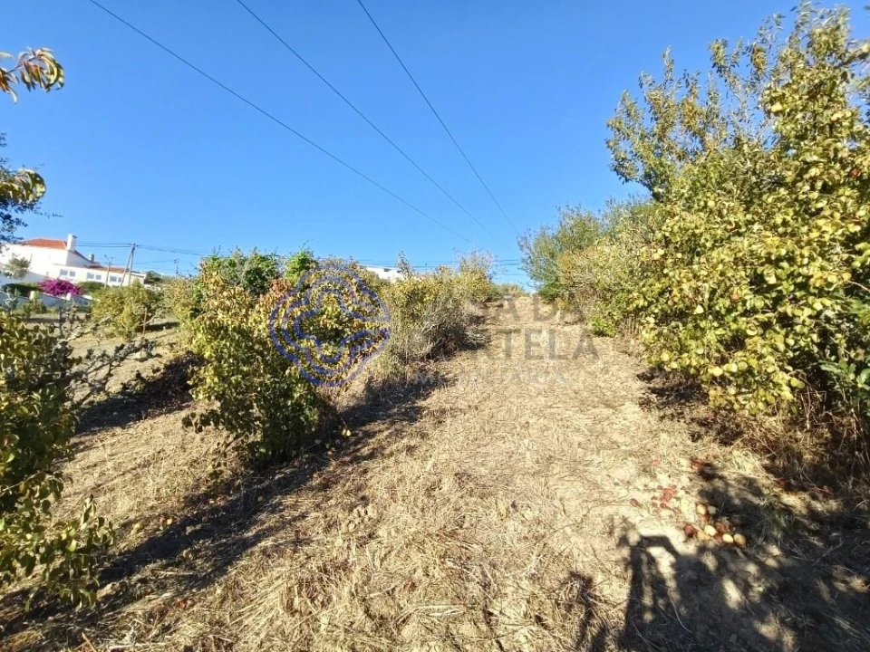 Terreno para Venda em A dos Negros Foto 18