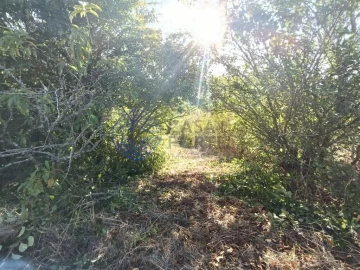 Terreno para Venda em A dos Negros