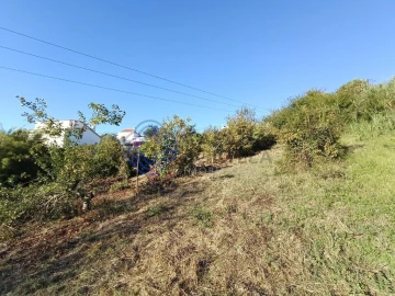 Terreno para Venda em A dos Negros