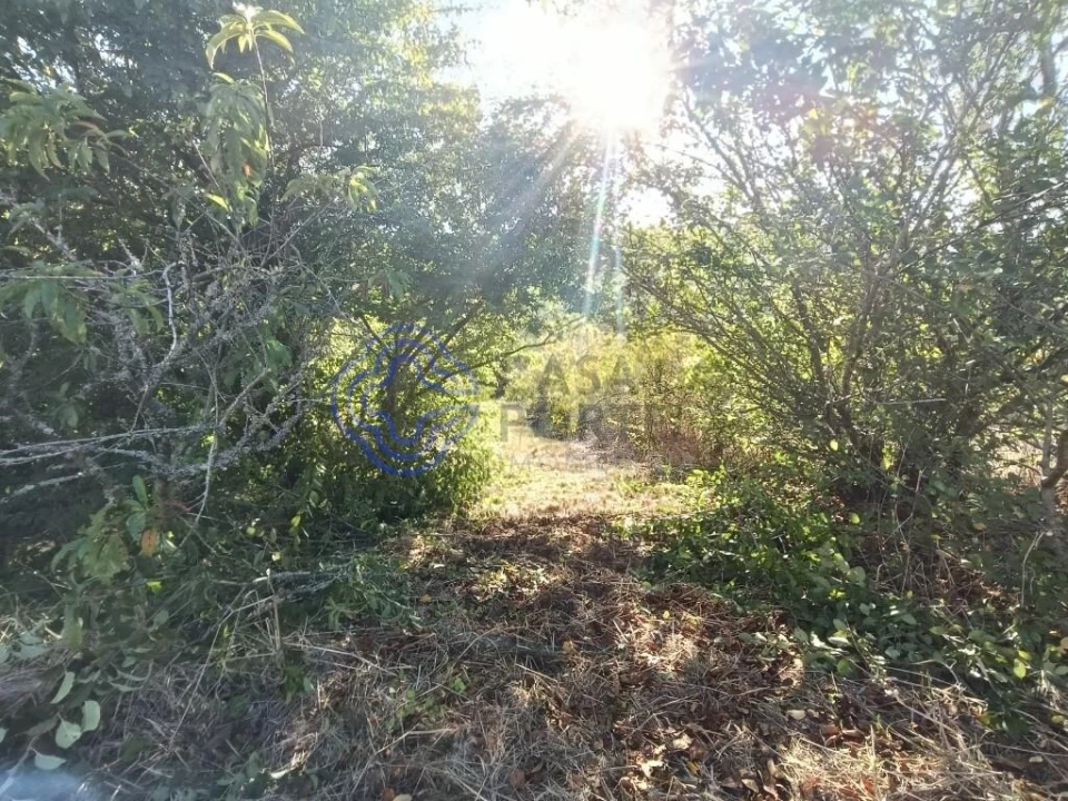 Terreno para Venda em A dos Negros Foto 6