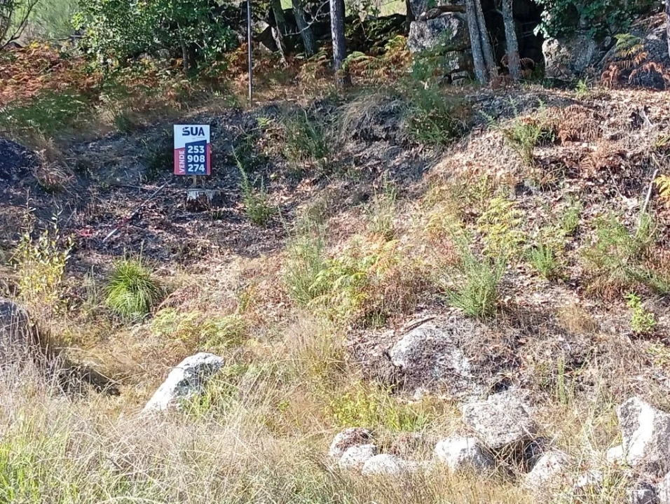 Terreno para Venda em Bouro (Santa Maria) Foto 9
