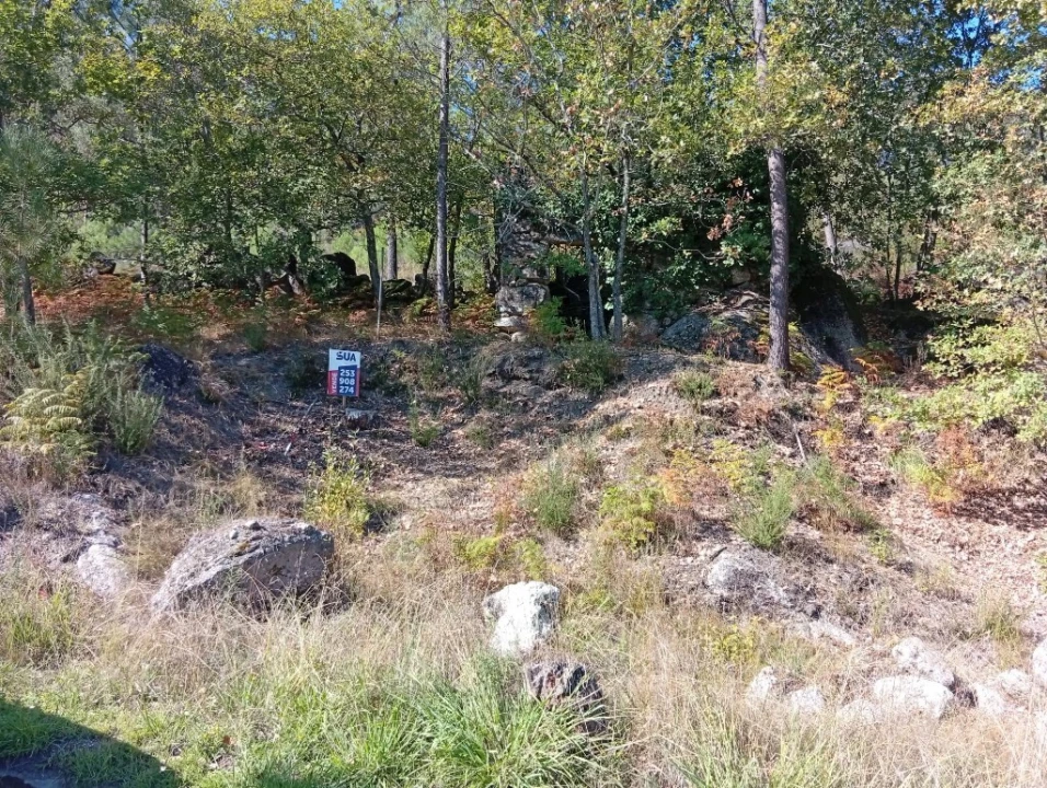 Terreno para Venda em Bouro (Santa Maria) Foto 10