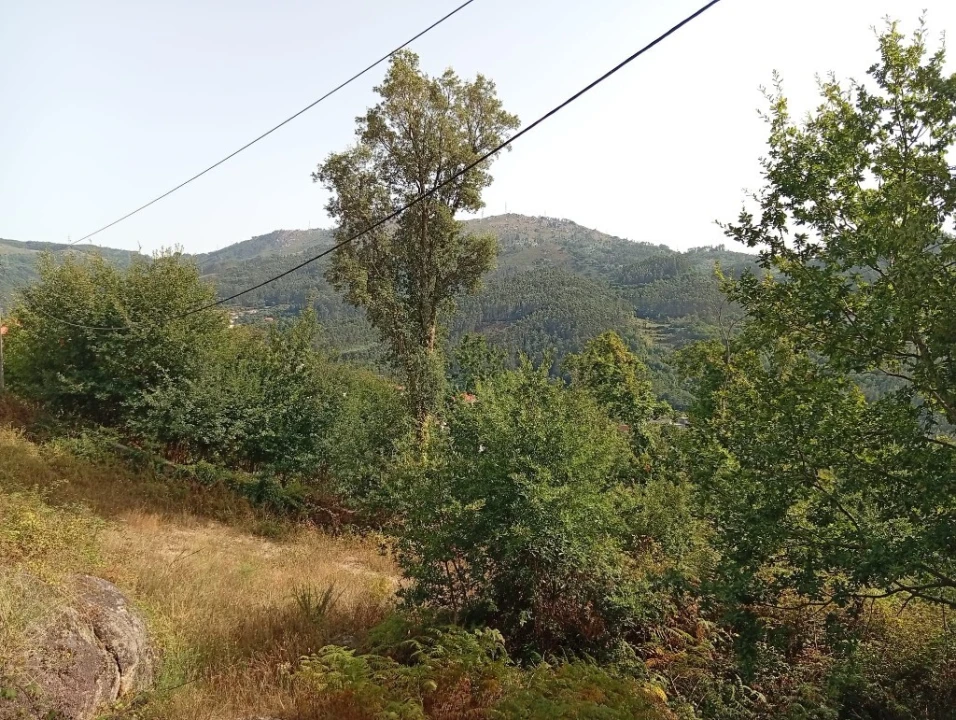 Terreno para Venda em Bouro (Santa Maria) Foto 5