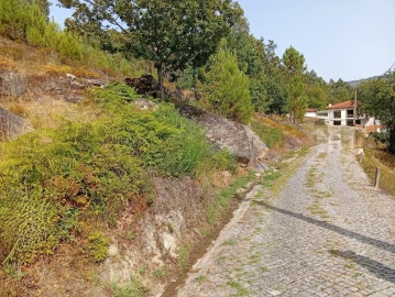 Terreno para Venda em Bouro (Santa Maria)