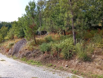 Terreno para Venda em Bouro (Santa Maria)