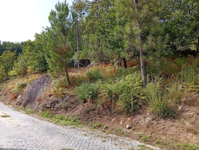 Terreno para Venda em Bouro (Santa Maria) Foto 8