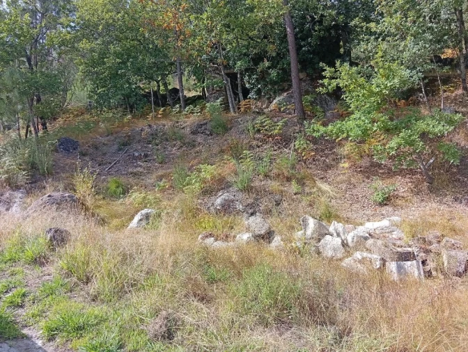 Terreno para Venda em Bouro (Santa Maria) Foto 7
