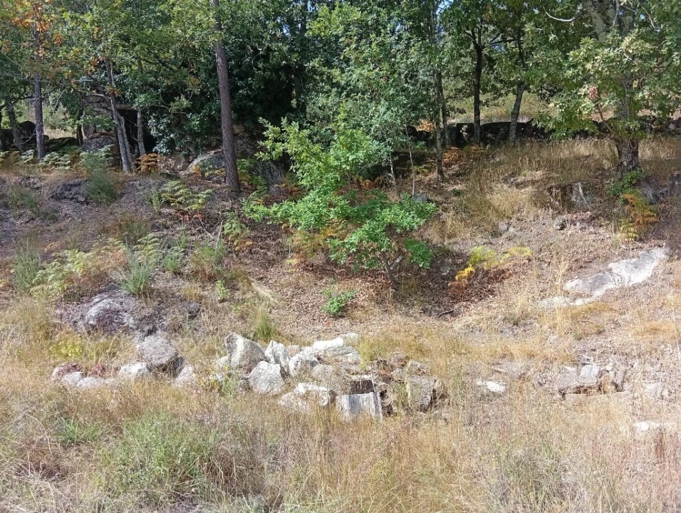 Terreno para Venda em Bouro (Santa Maria) Foto 6