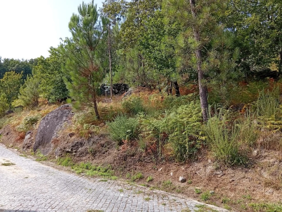 Terreno para Venda em Bouro (Santa Maria) Foto 8