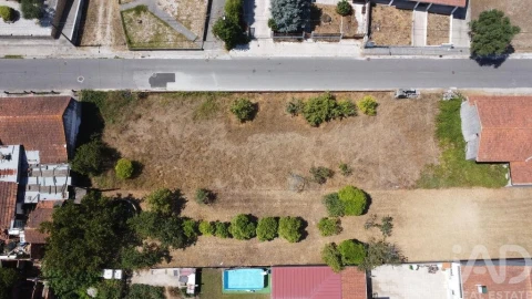 Terreno para Venda em Fermentelos