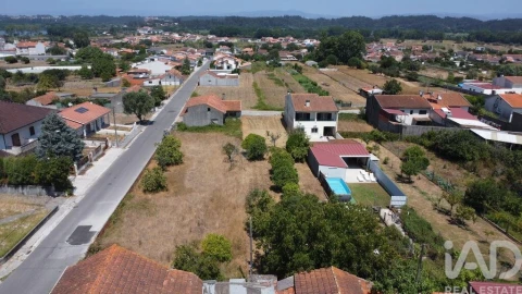 Terreno para Venda em Fermentelos
