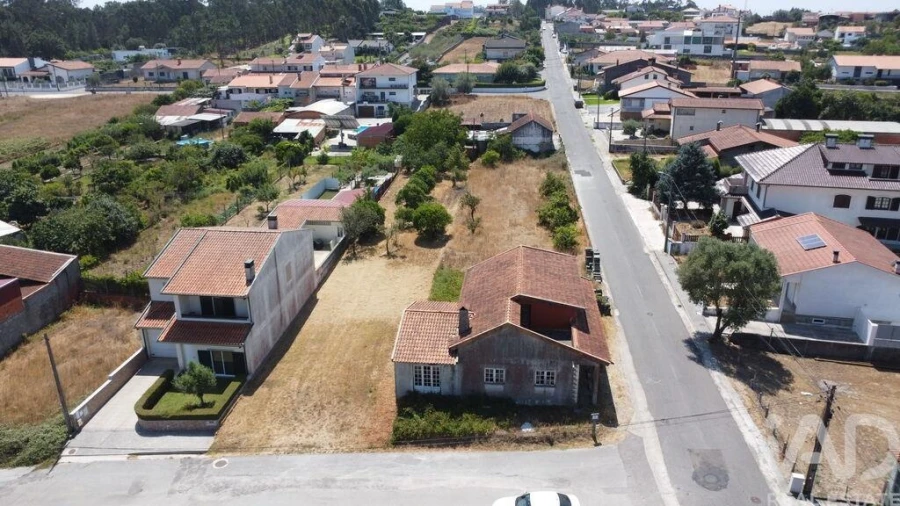 Terreno para Venda em Fermentelos Foto 5