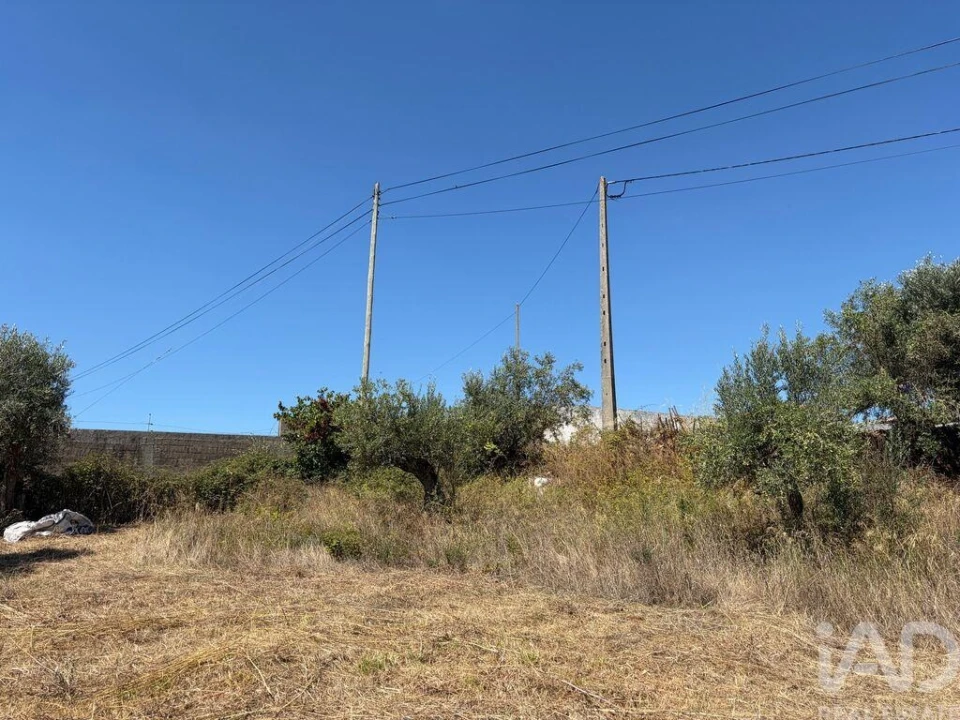 Terreno para Venda em Mira de Aire Foto 21