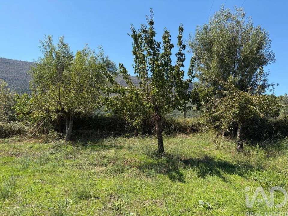 Terreno para Venda em Mira de Aire Foto 25