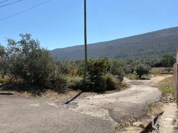 Terreno para Venda em Mira de Aire