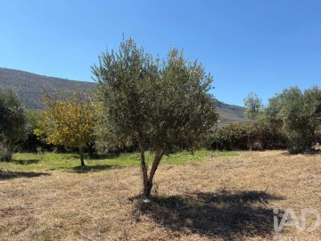 Terreno para Venda em Mira de Aire