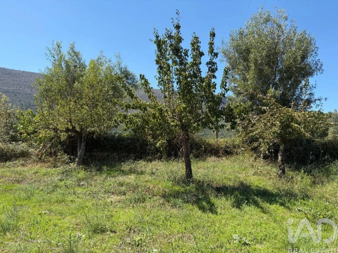 Terreno para Venda em Mira de Aire Foto 25