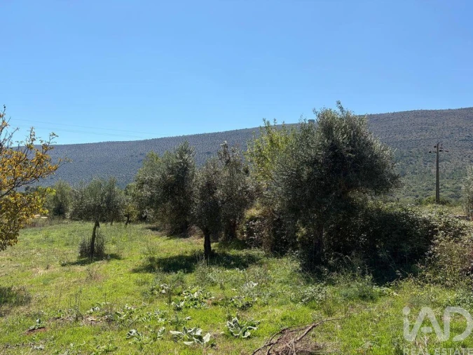 Terreno para Venda em Mira de Aire Foto 23