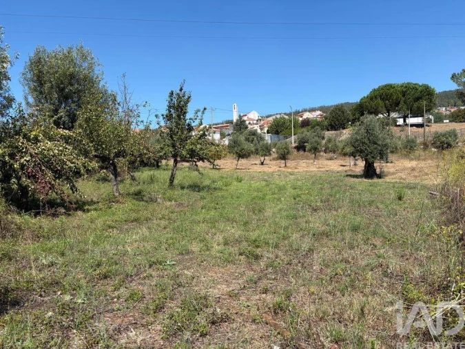 Terreno para Venda em Mira de Aire Foto 11