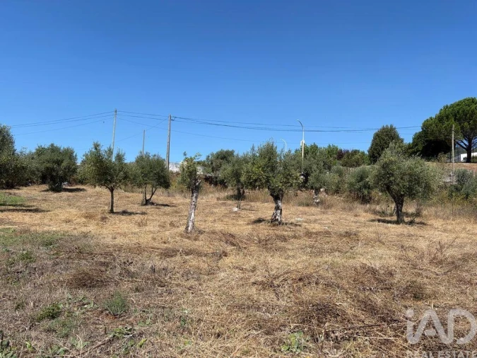 Terreno para Venda em Mira de Aire Foto 6
