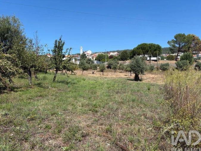 Terreno para Venda em Mira de Aire Foto 16