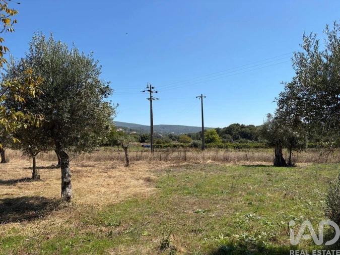 Terreno para Venda em Mira de Aire Foto 24