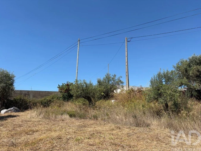 Terreno para Venda em Mira de Aire Foto 8