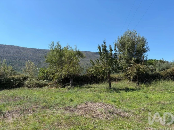 Terreno para Venda em Mira de Aire Foto 19