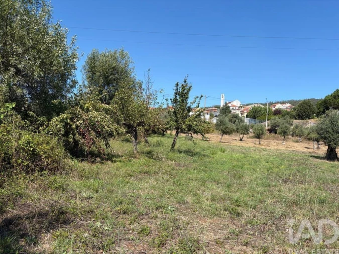 Terreno para Venda em Mira de Aire Foto 10