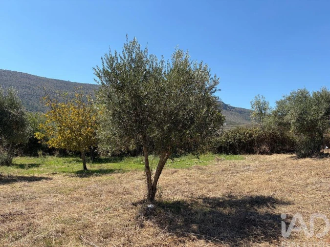 Terreno para Venda em Mira de Aire Foto 17