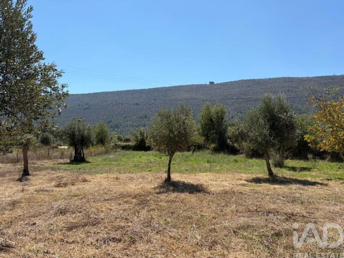 Terreno para Venda em Mira de Aire Foto 7