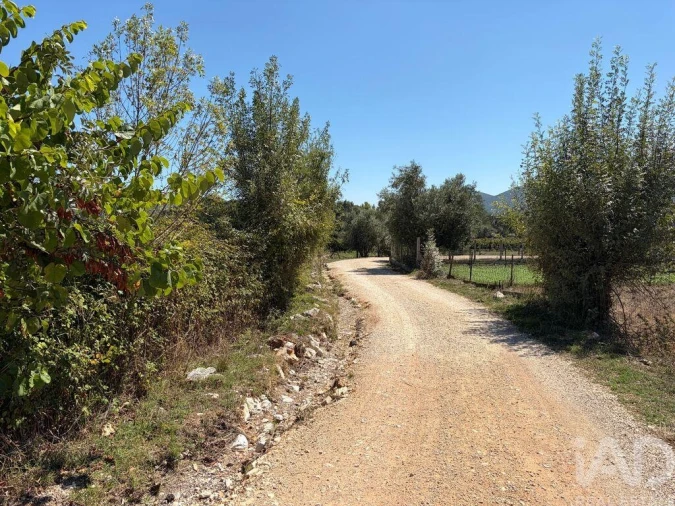 Terreno para Venda em Mira de Aire Foto 15