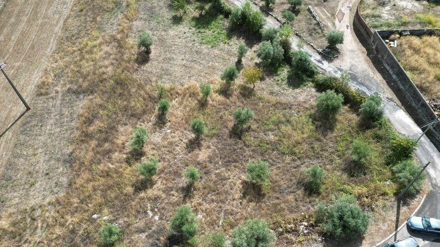Terreno para Venda em Mira de Aire
